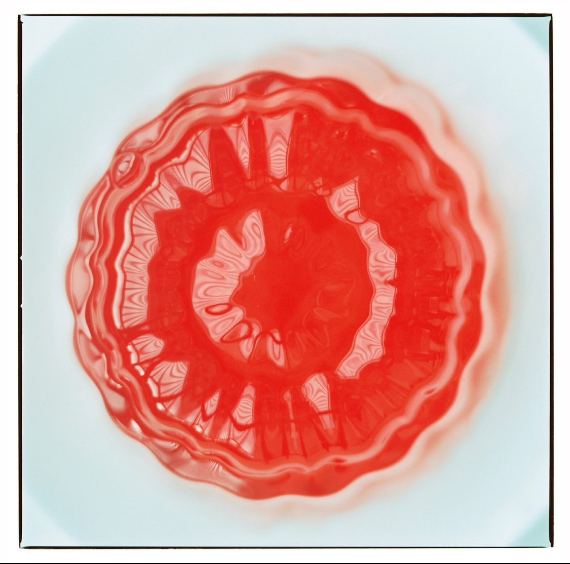 busse — Chewing Jelly